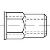 Toolcraft TO-5444331 Popmoer M4 Staal 500 stuk(s)