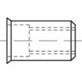 Toolcraft TO-5444205 Popmoer M6 Staal 250 stuk(s)