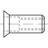 Toolcraft TO-5444259 Popmoer M5 Staal 500 stuk(s)