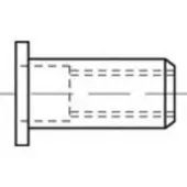 Toolcraft TO-5455149 Popmoer M4 500 stuk(s)