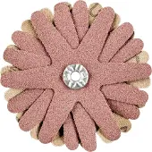 PFERD TOOLS 42732106 Schuurster Diameter 70 mm 10 stuk(s)