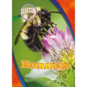 CORONA Hommels (Hardback)