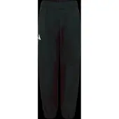 Adidas Outdoor broek zwart