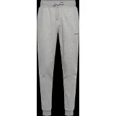 Björn Borg Sportbroek 'ESSENTIAL 1' lichtgrijs