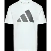 Adidas Functioneel shirt 'Essentials' grijs / wit