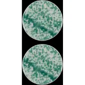 House Doctor Hddiva Serveerschaal Pak Van 2 Groen - Schalen Steengoed Green - 267600020