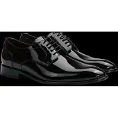 Lloyd Veterschoen 'Leno 110' zwart