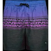 O'Neill - Logo Stripe 16'' Swimshorts - Zwembroek S, meerkleurig
