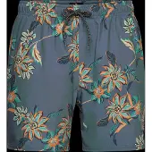 Rip Curl Sessions Zwembroek