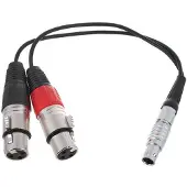 Atomos Balanced XLR Breakout Cable ATOMCAB017