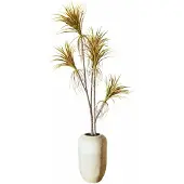 Loberon Decoratieve potplant Ancerac