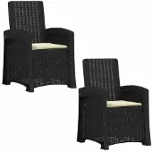 vidaXL Ligstoel Rieten Look 2 st Antraciet- en crèmekleurig PP