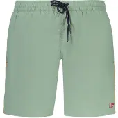 NORWAY 1963 Noorwegen 1963 Verde Poliammide Heren Zwem Boxer