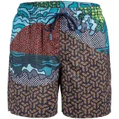 Arena Zwemmen boxershorts