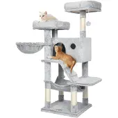 Feandrea krabomb, grote kattenboom met zachte bekleding, 135 cm