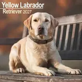 Avonside Publishing Ltd. Labrador Retriever Blond Kalender 2027