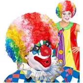 Widmann Clownspruik multikleuren voor dames