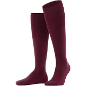 Falke Airport Kniekous Barolo 8596 | Bordeaux | Maat 43-44