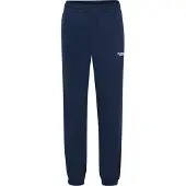 Hummel Sportbroek 'LEGACY 2.0' enziaan / wit