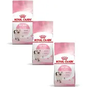 Royal Canin Kitten - Kitten-Kattenvoer - 3 x 2 kg