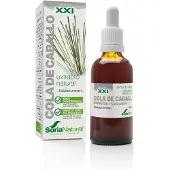 Sidroga Gesellschaft für Gesundheitsprodukte mbH Soria Natural Equisetum Arvense Xxi Extr Fl 50 ml Oplossing