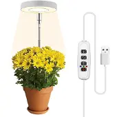 INF Plantenverlichting voor potplanten warm wit/wit