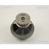 TRISCAN 8600 24017 Waterpomp