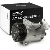 RIDEX 447K0067 Aircopomp