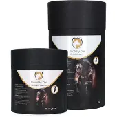 Excellent Equi Mobility Plus