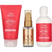 Wella Invigo - Color Brilliance Set 205 ml Shampoo