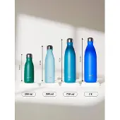 Qwetch Matte Isolerende Fles Originals | Maat 500 ml