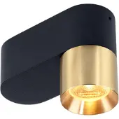 Trizo21 - Audy-Duo 1 up Rounded Spot
