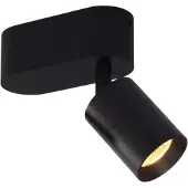 Trizo21 - Audette up Rounded Spot