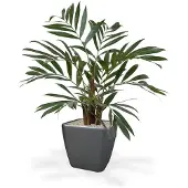 Maxifleur Kunstplanten Chamaedorea kunstpalm 65cm