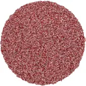 PFERD TOOLS CD 25 A 60 FORTE 42751306 Schuurblad Korrelgrootte (num) 60 (Ø) 25 mm 100 stuk(s)