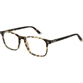 Taylor Morris Brilrand SW16 C10 52