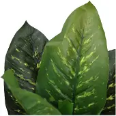 Hjh OFFICE Kunstplant DIEFFENBACHIA Groen