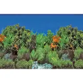 Superfish Aquarium Decoratie Poster B1 Multi 60 X 30 Cm