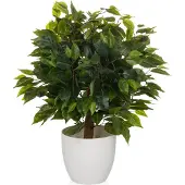 Hjh OFFICE Kunstplant / kunstboom FICUS II 65 cm groen