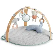 Ingenuity Baby activity gym loamy - - vanaf 0 maanden