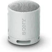 Sony SRS-XB100 Grijs