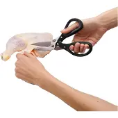 Chefn Gevogelteschaar
