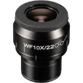 Bresser WF 10x/22 Dradenkruis-micrometeroculair voor diverse Bresser Science-microscopen (30)