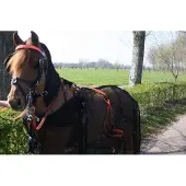 Hb Men Vliegendeken met hals