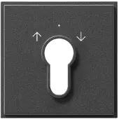 Gira 066467: Accessoires voor elektrische schakelaars (066467)