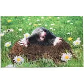 Esschert Design Deurmat mol