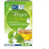 Biolys Concentratie Ginkgo-Groene Thee 24 St Filterzakje