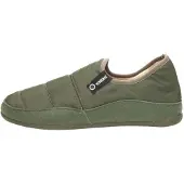 Verbenas Huisschoen 'Ernest' groen