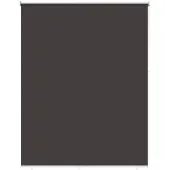 vidaXL Buitenrolgordijnen met UV-bescherming, antraciet, 100 x 230 cm (breedte x hoogte)