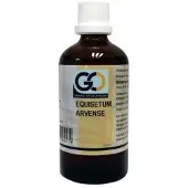 Go Equisetum arvense 100 ml